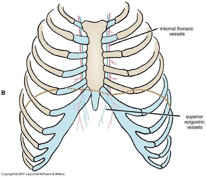 Diaphragm Physical barrier between thoracic and abdominal cavities Functions Inspiration Abdominal pressure