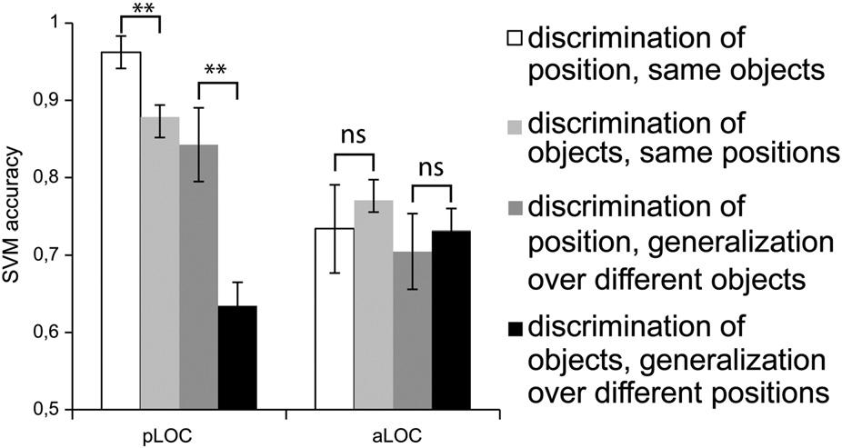 A. Baeck et al. / NeuroImage 70 (2013) 37 47 41 Fig. 2. Results of SVM and generalization analyses for single objects in ploc and aloc. Error bars represent the standard error of the mean (SEM).