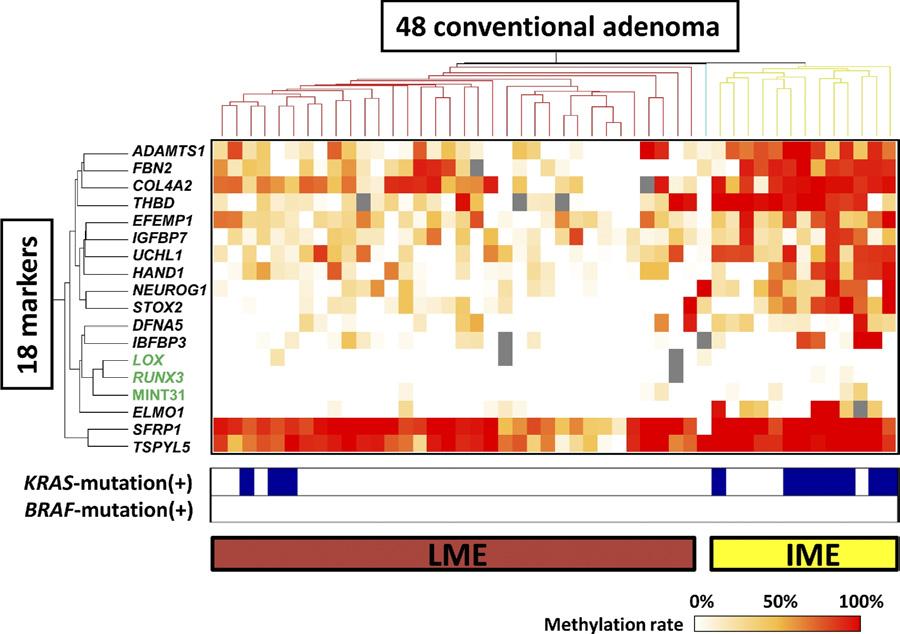 620 Yagi et al Figure 3. Unsupervised hierarchical clustering of 48 conventional adenoma samples. Markers in black indicate group 2 markers, and markers in green indicate group 1 markers.