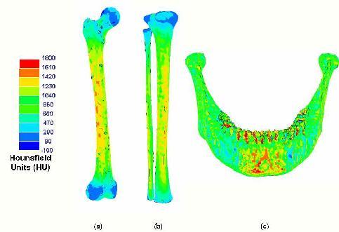 1] Then they were imported in MIMICS again, and different material properties were assigned relating the bone mineral density with the Hounsfield Units (HU) (50 materials were considered).