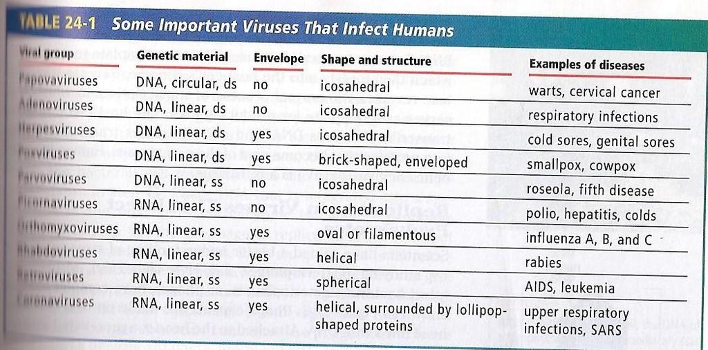 4. Classification of Viruses a.