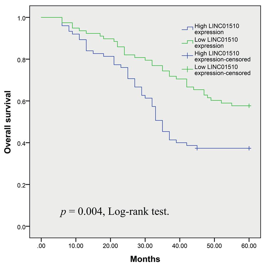 LINC01510 expression in colorectal cancer Figure 2. CRC patients with high LINC01510 expression had a significantly shorter overall survival than those with low LINC01510 expression (p = 0.