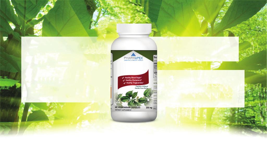 This exclusive technology is the key to encriching the Gymnema sylvestre extract used in Natural Blood Health Aid Ever-increasing consumer target market base on 180,000,000 potential