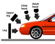 Pedestrian Test Procedure EEVC Subsystem Impactors Child Adult Headform Headform Upper Legform Adult Headform FlexPLI Flexible