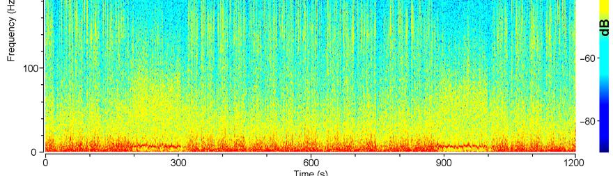 a, Representative power spectrogram of the CA1 LFP recorded during a