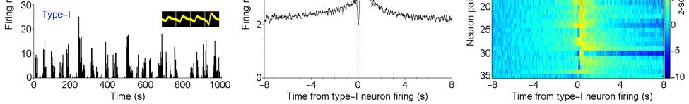 Representative tetroderecorded spike waveforms of the 2 neurons are shown in a (inserted panels, 1000 spikes overlapped; spike width, 1