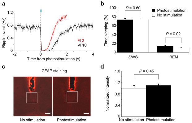 Supplementary Figure 9 Addressing issues involving MnR photostimulation. a, Mean ripple-event frequencies (error bars: s.e.m.) upon MnR photostimulation delivered on two different interval schedules.