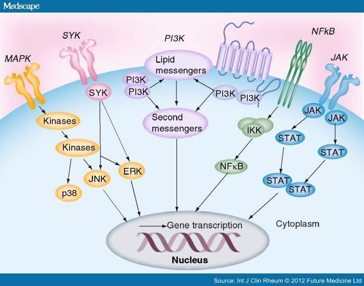 Significant pathways involved in proinflammatory