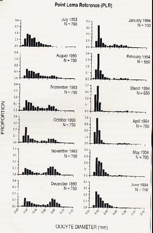 a. FIGURE 3. Distribution of Amphiodia urtica oocyte diameter measurements for LITERATURE CITED Bergen, Mary. 1996. Distribution of the brittlestar Amphiodia (Amphispina) spp.