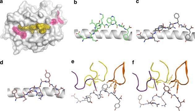 Molecular Mimicry LC13 TCR is specific for EBV EBNA peptide, FLR HLA-B8 HLA-B8 vs.