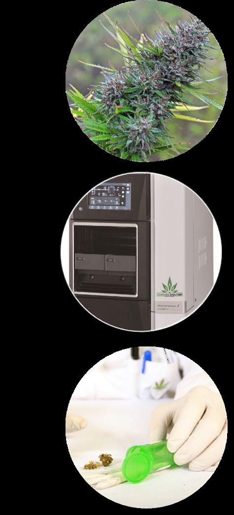 We are the cannabis testing instrument experts. When purchasing analytical equipment, it is important to know that you are not just buying an instrument but investing in your lab s future.
