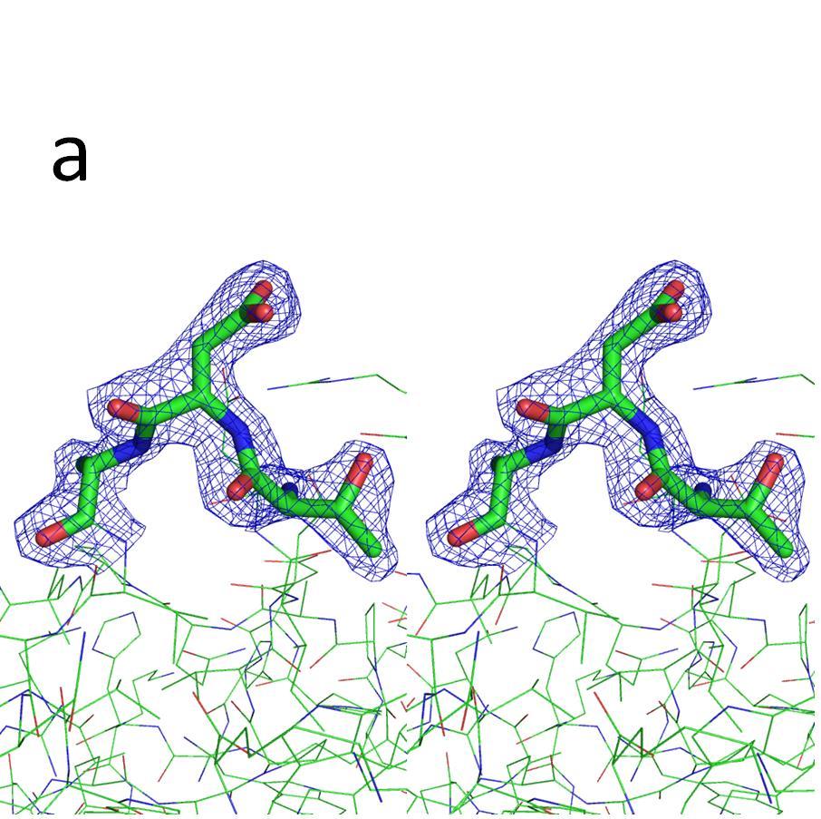 Supplementary Figure-3. Electron density maps of selected mutated residues in M1-M4.