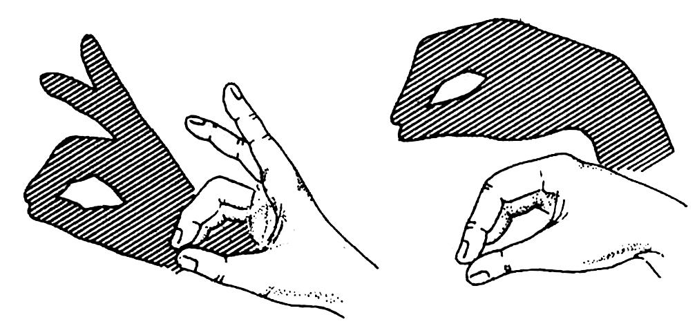 Didaktilised mängud käe ja sõrmede peenmotoorika arendamiseks Varjuteater Sõrmede kokkupanekuga saab seinal näidata paljude loomade kujutisi: jänest, koera, hunti, hane jt. Vahendid.