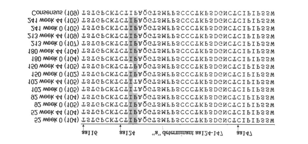 70 2007 6 2 2 Journal of Microbes and Infection,June 2007,Vol 2,No. 2 1 YIC HBV DNA HBeAg 2HBe Fig 1.