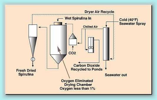 Our Patented Ocean Chill drying prevents oxidation of key