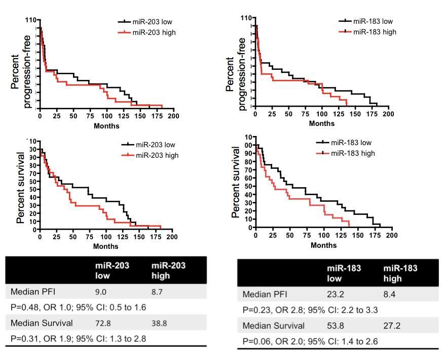 Supplementary Figure S2 mir-203 and mir-183 expressions in advanced staged epithelial ovarian cancer patient cohort.