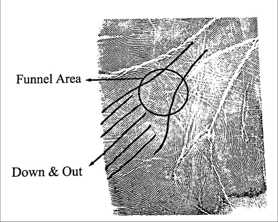 Figure 9. Outline of the down and out area and the funnel area as they appear on the left hand (Ron Smith and Associates, 2002).