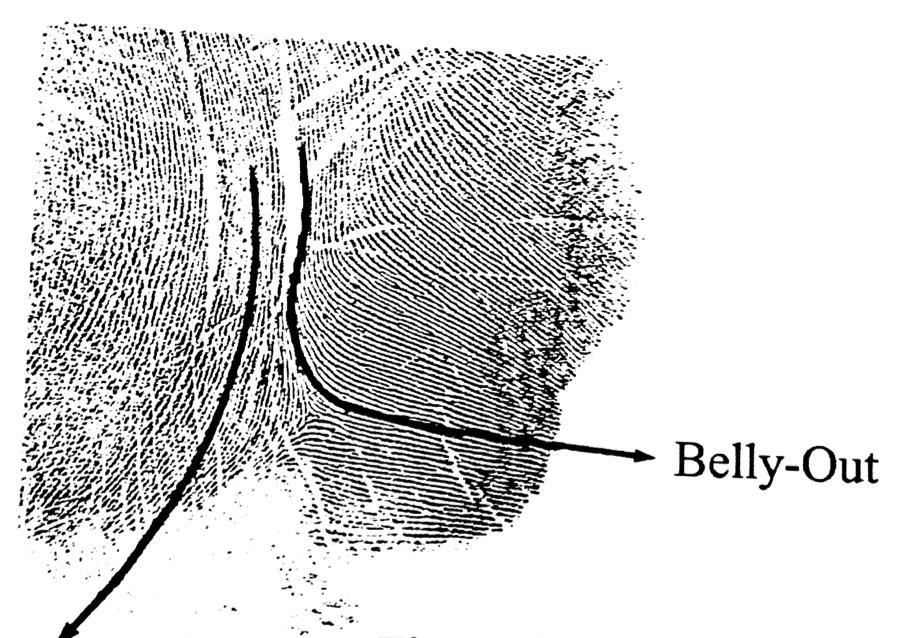 Figure 10. Outline of the belly out portion of the left hand (Ron Smith and Associates, 2002).