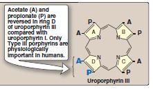 Structure of porphyrins The medical significance of porphyrins is related to the following structural features of these molecules: 2.