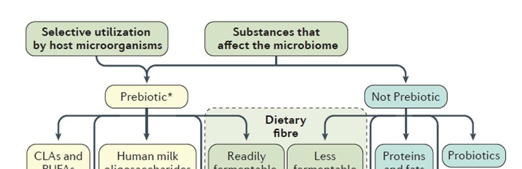 Prebiotic: a substance that is