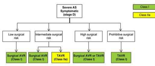 Aortic Replacement Guidelines Valvular heart