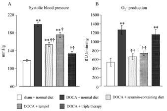 Vol.1 (2007) 2 2 2 2 2 2 2 2 2 Figure 2. (A) Systolic blood pressure measured by tail cuff method after a 5-week treatment period (n=13~14).