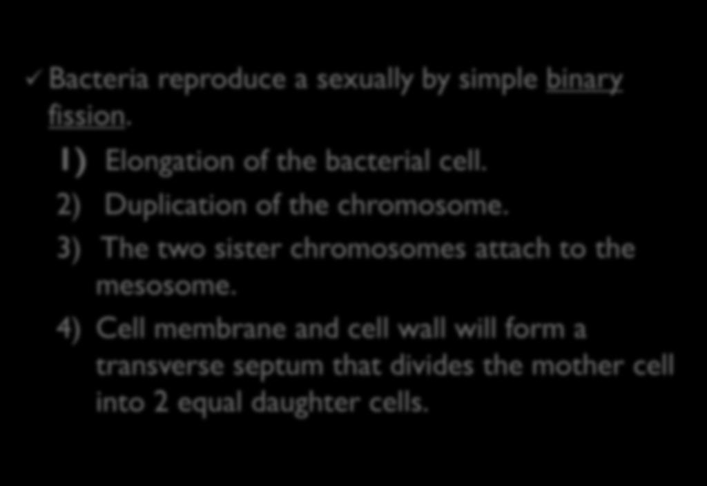 3) The two sister chromosomes attach to the mesosome.