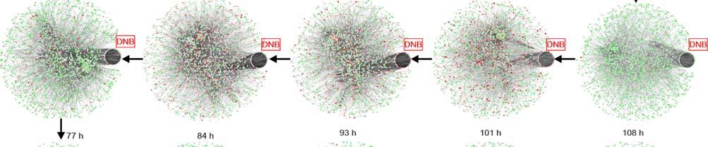We show the dynamical evolution of the network structure for the constructed molecular interaction network at 16 time points, i.e. 0h, 5h, 12h, 21h, 29h, 36h, 45h, 53h, 60h, 69h, 77h, 84h, 93h, 101h, and 108h.