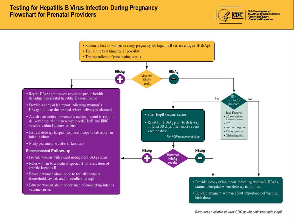 CDC Testing for Hepatitis B Virus Infection During Pregnancy Flowchart for