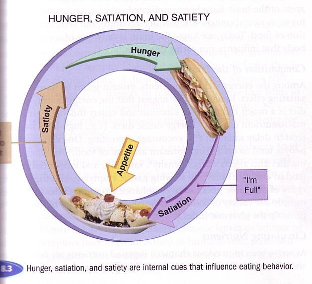 FOODS + O 2 CO 2 + E + H 2 O 97 Energy In Regulation of intake Hunger Prompts eating; physiological desire, unpleasant physical and psychological sensations that lead people to acquire and ingest