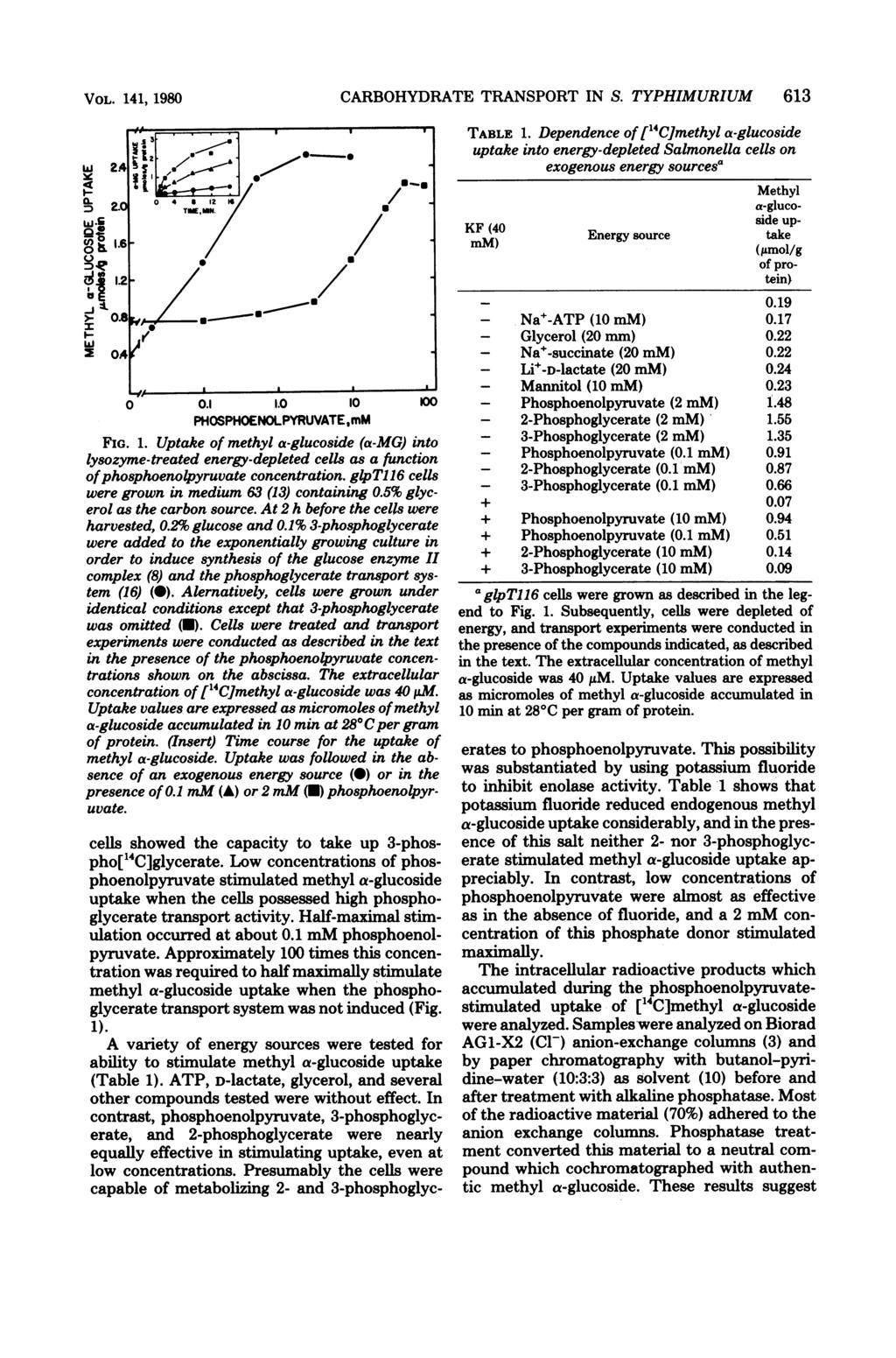 VOL. 141, 1980 0 0.1 1.0 10 100 PHOSPHOENOLPYRUVATE,mM FIG. 1. Uptake of methyl a-glucoside (a-mg) into lysozyme-treated energy-depleted cells as a function ofphosphoenolpyruvate concentration.