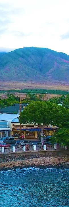 FINANCIAL SUMMARY RENT ROLL Tenant Name Sq Ft Term Annual Base Rent Increases Per Year PSF/ Month Annual Estimated NNN Lahaina Galleries 5,000 3 years $540,000 3% $9.