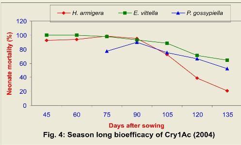 were used for bioassay (Fig. 4 and 5). The mortality of H. armigera larvae was high since initial stage of crop growth (45 DAS) till 90 DAS. However, highest mortality was noticed at 70 DAS.