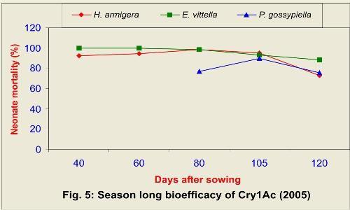 Fig. 5. Season long bioefficacy of Cry1Ac (2005) Fig. 6.