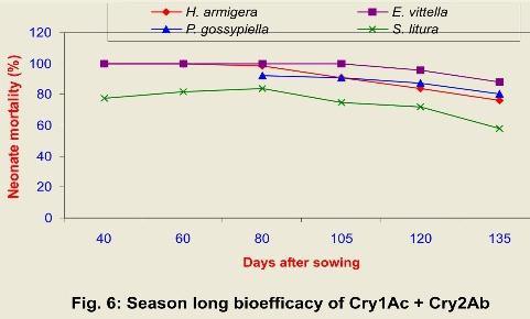 In leaf, concentration of Cry1Ac was high (5.07 µg/ g) at 40 DAS and was found to decline slowly. At 60 DAS expression was 3.17 and 3.
