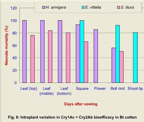 bioefficacy of Bt cotton Fig. 8.