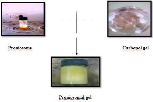 52 Fig 1. Preparation of proniosomal gel Fig 2.