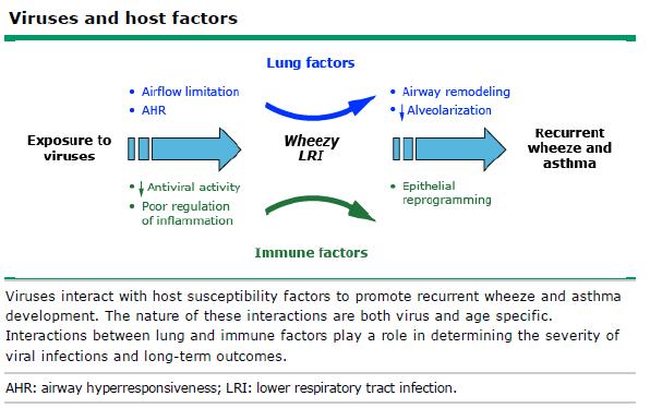 Viruses and host factors J