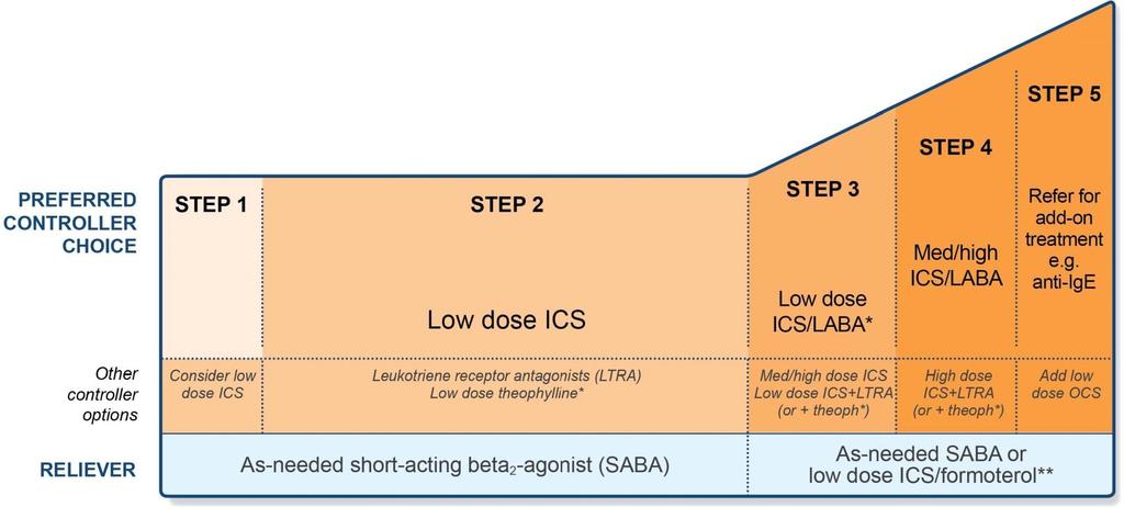 Step 2 low-dose controller + as-needed inhaled SABA *For children 6-11 years, theophylline is not recommended, and preferred Step 3 is medium dose