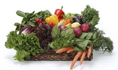Adding plant sterols to your diet helps reduce cholesterol Why do plant sterols and stanols work?