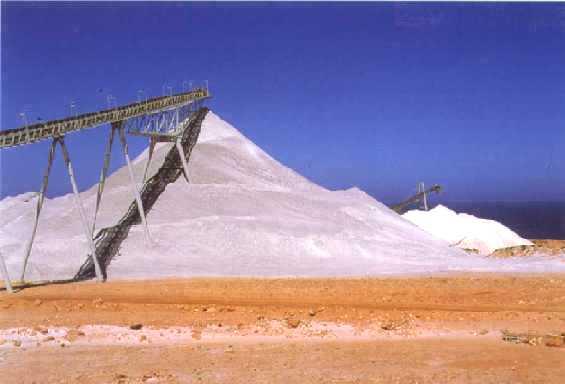 Gypsum Calcium sulfate dihydrate It is not a fertilizer but a soil ameliorant The sulfate ion plays no role in the soil reactions, but it can supply S to demanding crops (eg canola).