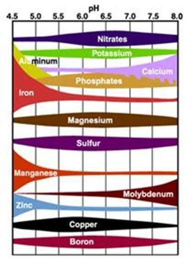 ph and nutrient availability Soil acidity (ph) drives much of the chemistry in the soil Reactions to free or to bind nutrients driven by soil ph At ph < 5.5 W calcium becomes less available.