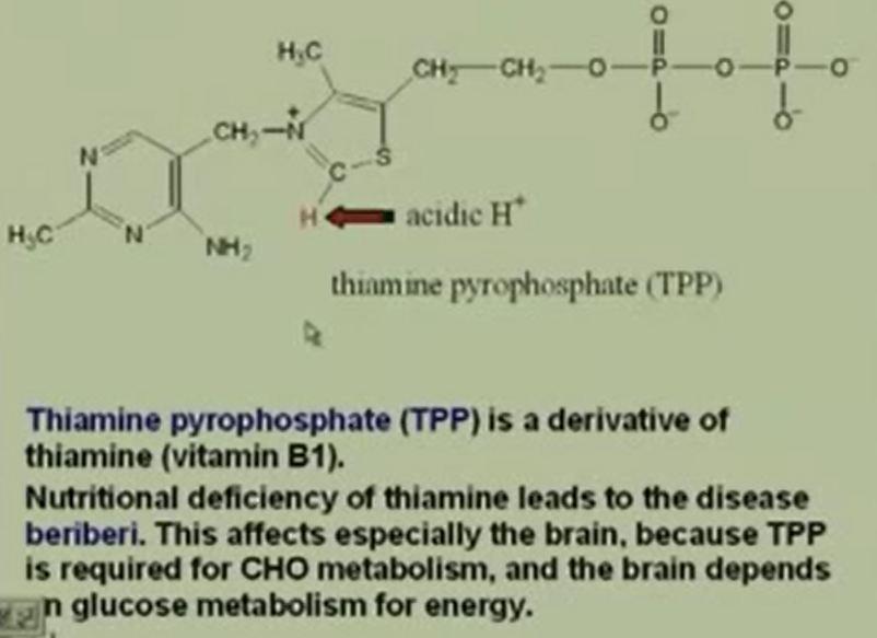 (Refer Slide Time: 12:52) Now in E1 you all remember that when we studied vitamins. We had vitamin B1 thiamine that actually formed TPP okay.