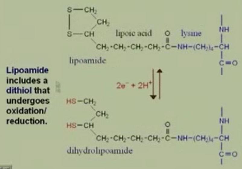 This negative then attacks the what happens here this attacks then the carbonyl of the ketone of pyruvate resulting in the release of carbon dioxide. So what do you have here?