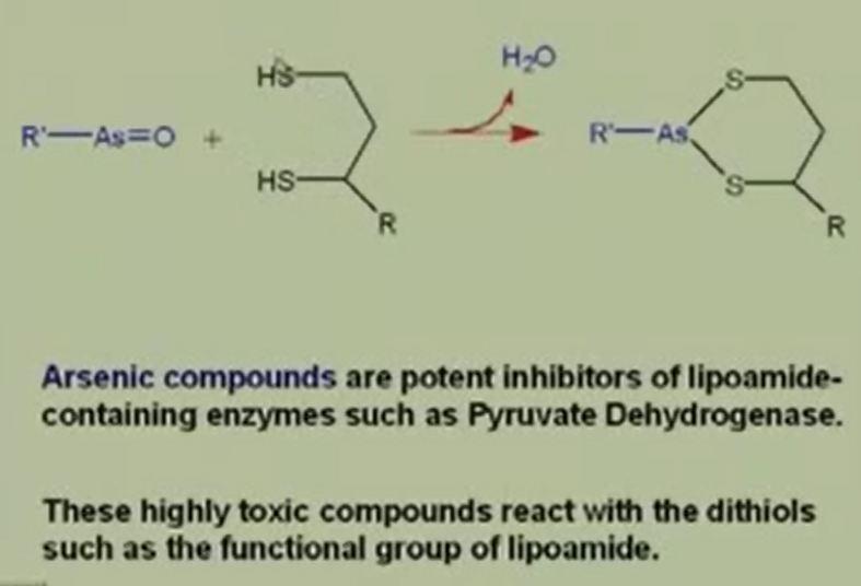 One important thing that you might want to know is about this SH SH that is the dihydro lipoamide is actually sometimes you hear about arsenic poisoning okay. What happens is?