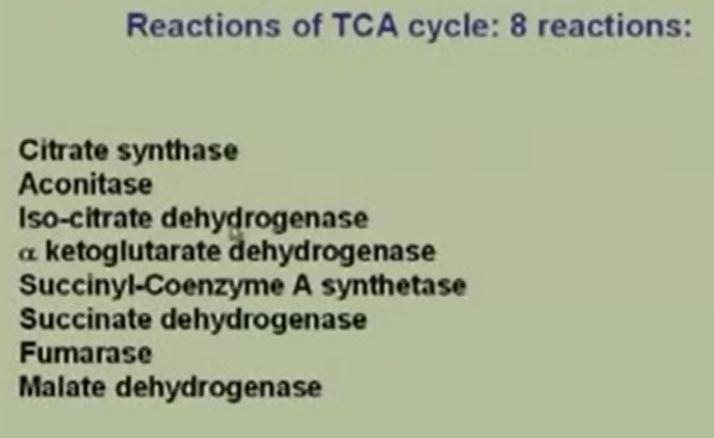 reactions of glycolysis that are localized in the cytosol and these take place in the mitochondria.