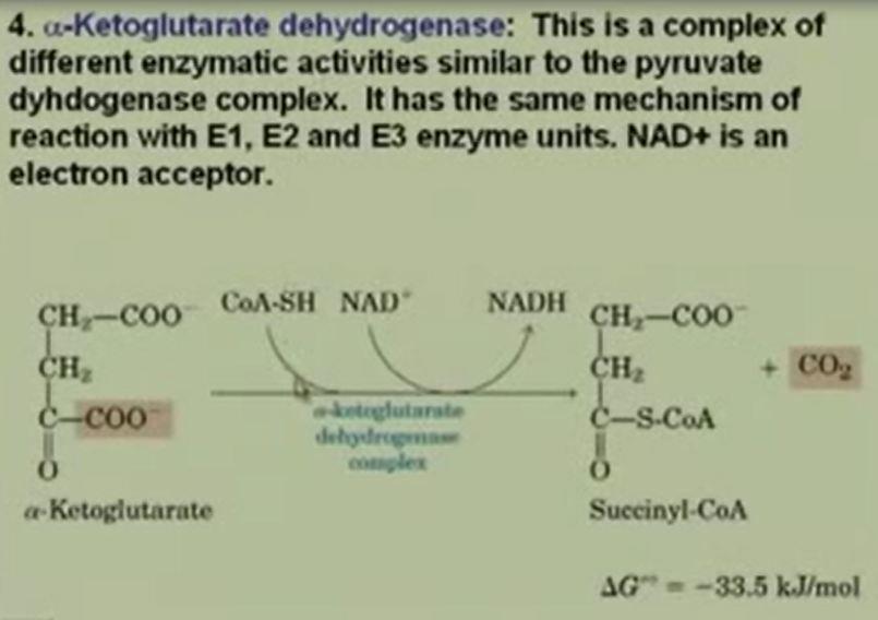 The fourth step is alpha ketoglutarate dehydrogenase. Again we have NAD+ and NADH. Now NADH is being formed here and will later on when I show you the whole cycle.