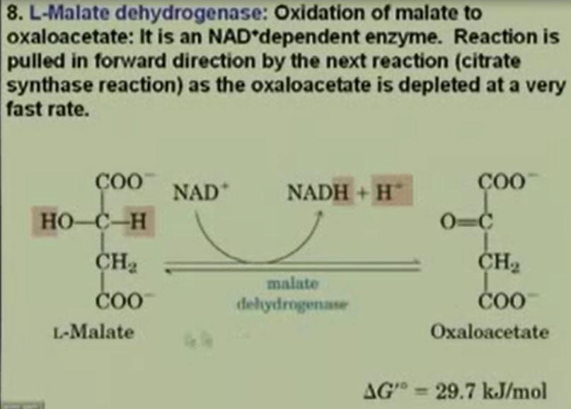 So you have Oxaloacetate that is ready to pick on another acetyl CoA to form what citrate. So that is the whole cycle okay.