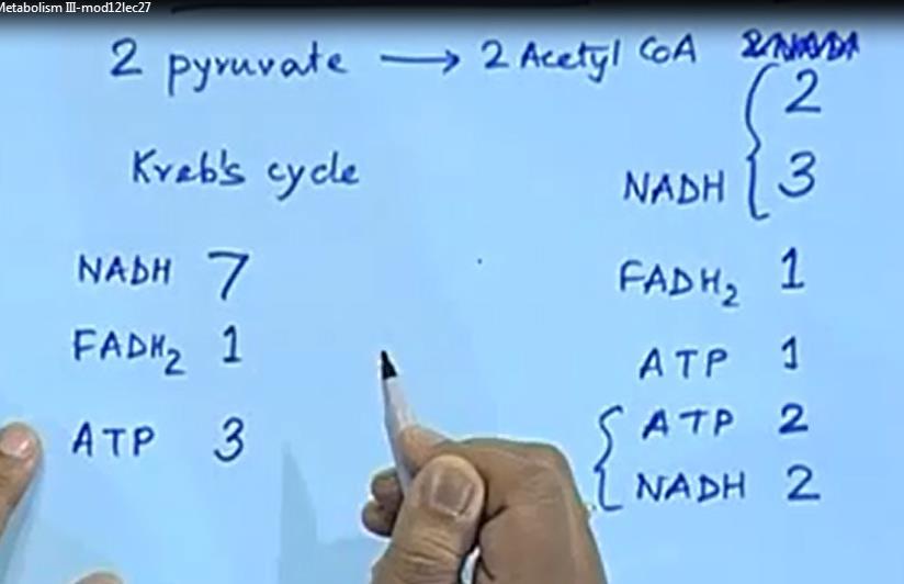 Two pyruvate to two acetyl CoA, In that step we have two NADH okay. In this step remember when we have pyruvate go to acetyl CoA in the complex. What happen to NAD+?