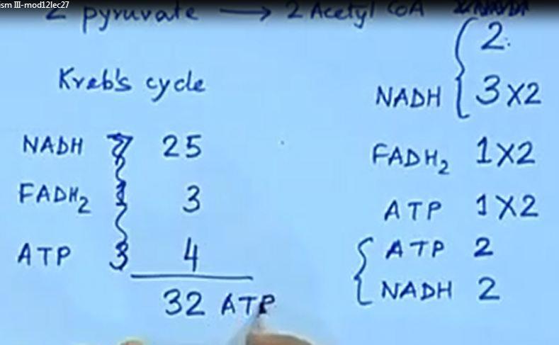 cycle gives us three NADH. Then FADH2 we have one FADH2 so this is actually we should have probably NADH, one FADH2.